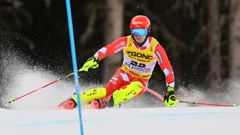 Filip Zubčić