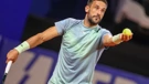 Damir Džumhur