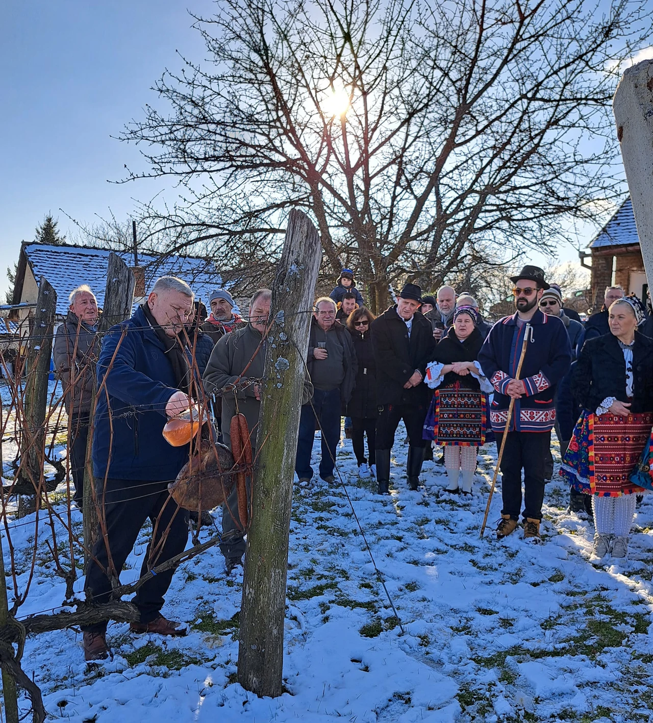 Generalni konzul Drago Horvat zalijeva trs, Foto: GKRH u Pečuhu/snimka zaslona