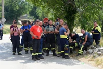 Požar na Krasu, Foto:  Sasa Miljevic /PIXSELL