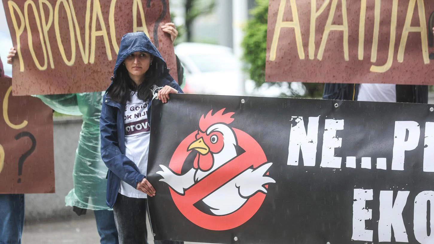 Zahtjevi protiv megafarmi pilića predani Ministarstvu: 'Ne smijemo postati smetlište Europe'