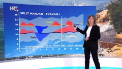 Dunja Plačko-Vršnak