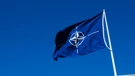 NATO