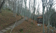 Staze do ulaza u tri špilje: Donju, Gornju i Novu, Foto: (Foto:Majda Ivković/Glas Hrvatske)/-