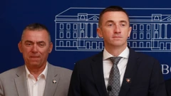 Domovinski pokret