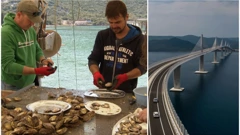 Malostonski zaljev