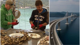 Malostonski zaljev