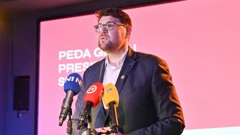 Peđa Grbin 