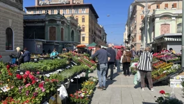 Centralna riječka tržnica