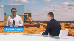 Počela žetva pšenice