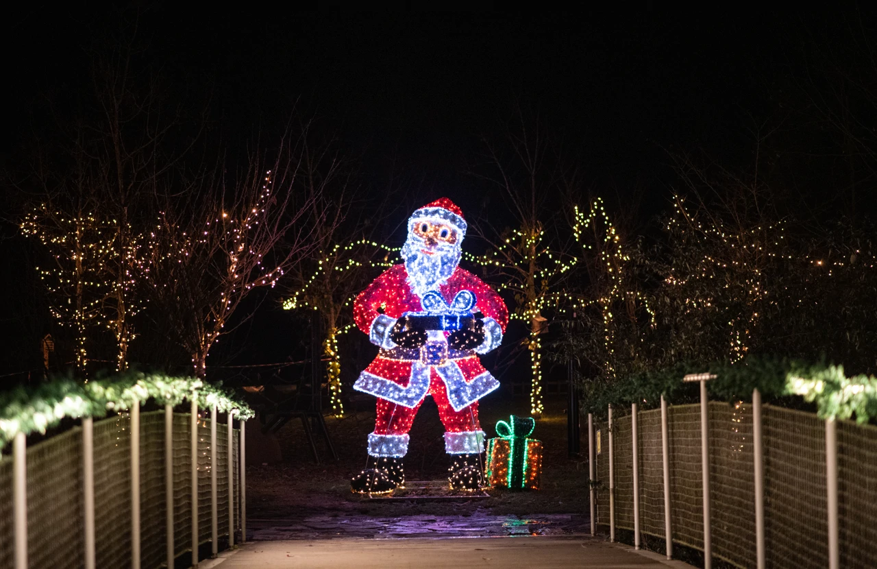 Advent u Zoološkom vrtu, 2023.