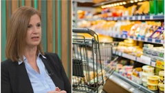 Vedrana Filipović-Grčić, pomoćnica glavnog državnog inspektora