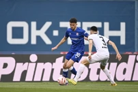 Fran Topić, Foto: Ronald Gorsic/CROPIX