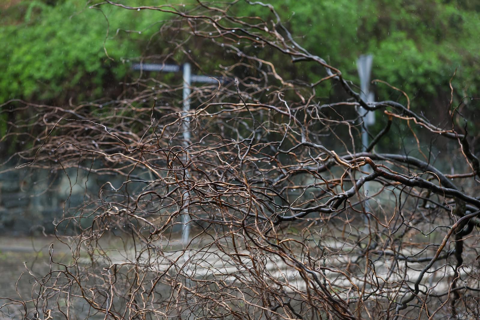 pxl 270326 149118744 20260327142716