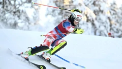 Leona Popović
