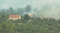 Požar kod Grebaštice, Foto: HTV/HRT