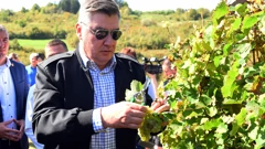 Zoran Milanović