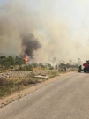 Veliki požar kod Neuma, Foto: Marin Matić/-
