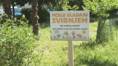 Omiš bez košnje