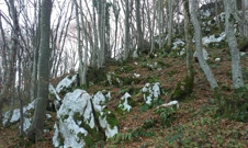 Stjenovite šume vode do prekrasnih špilja, Foto: (Foto:Majda Ivković/Glas Hrvatske)/-