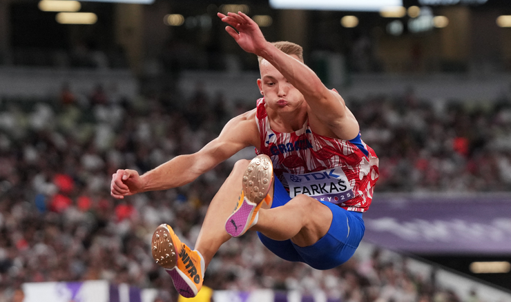 Roko Farkaš