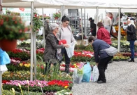 Otvoren Floraart, Foto: Boris Scitar/PIXSELL