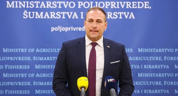 David Vlajčić