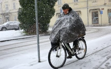 Snijeg u Karlovcu, Foto: Kristina Stedul Fabac/PIXSELL