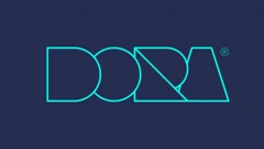 DORA 2024.