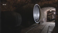 Vinski podrum u Iloku, Foto: Dobro jutro, Hrvatska/HRT