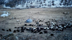 Utorak, 20. siječnja na Prvom, Foto: Posljednji/dokumentarna serija 