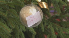 Humanitarne kuglice za pomoć riječkom azilu za pse