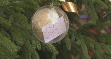 Humanitarne kuglice za pomoć riječkom azilu za pse