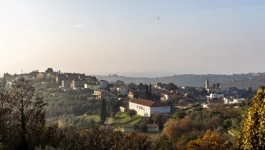 Buje