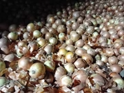 Skladište Podravke Agri u Lipovcu , Foto: M.Milas/Radio Osijek