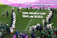 Kamerun - Srbija, Foto: Marko Djurica/REUTERS