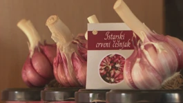 Istarski češnjak hit među kupcima i turistima