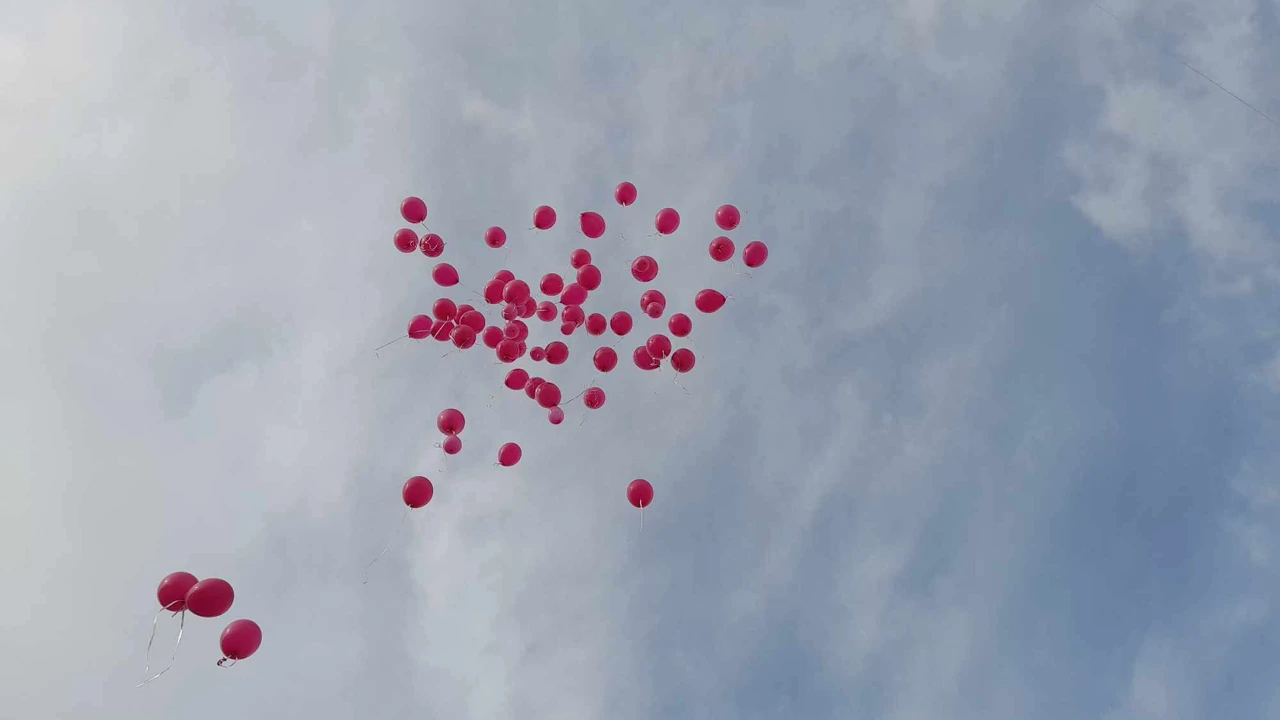 Ružičasti lukobran poslao poruku solidarnosti i podrške
