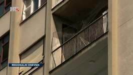 Golubovi 'zaposjeli' stan u središtu Zagreba, stanari zgrade očajni