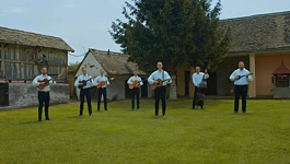 Žitna polja
