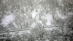 Boris Scitar/Vecernji list/PIXSELL, Foto: -/-