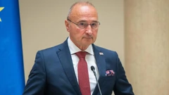 Gordan Grlić Radman