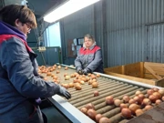 Skladište Podravke Agri u Lipovcu, Foto: M.Milas/Radio Osijek
