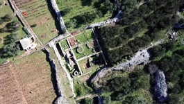 Starogradskom polju na Hvaru polako se vraća stari sjaj  