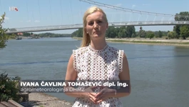 Ivana Čavlina Tomašević