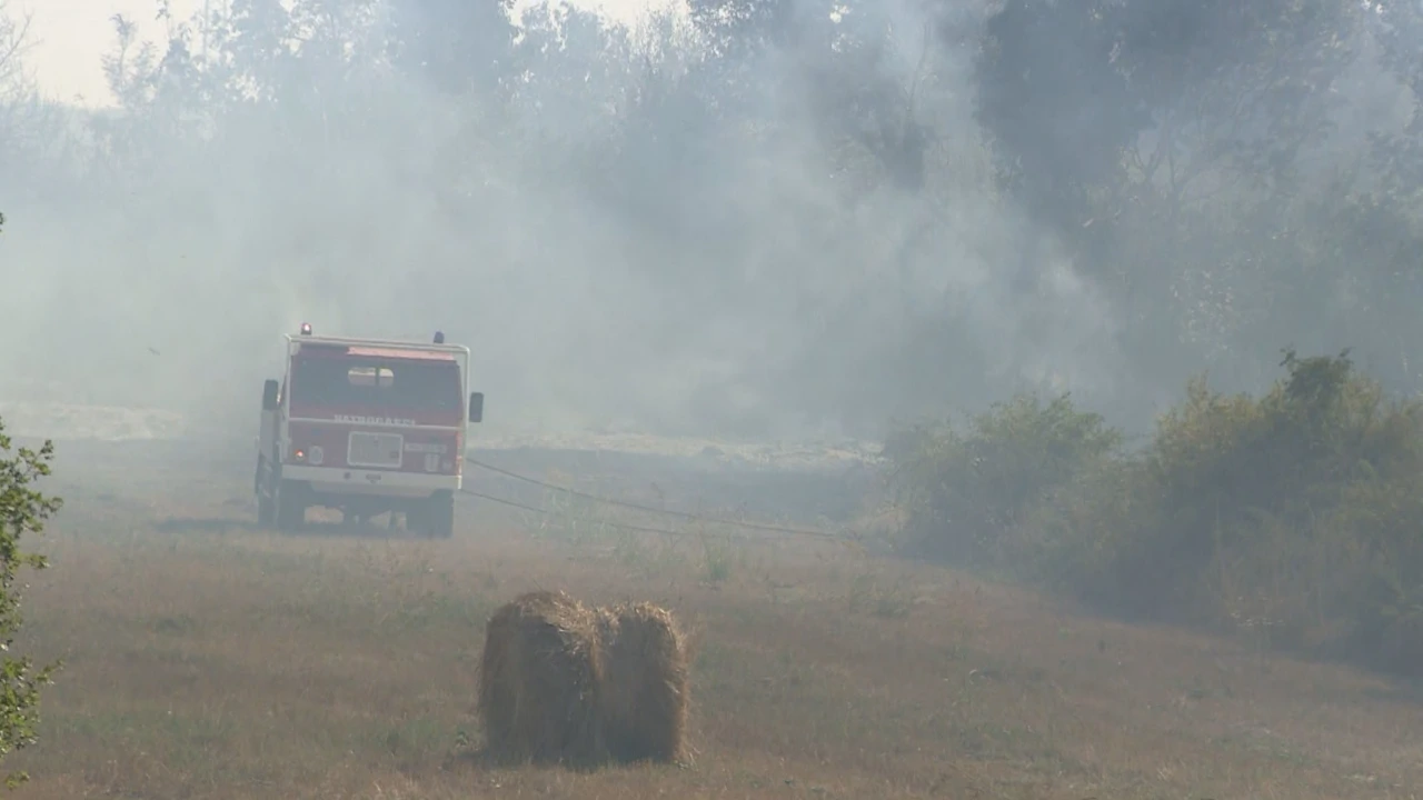 Gori nisko raslinje i balirano sijeno, Foto: HTV/HRT