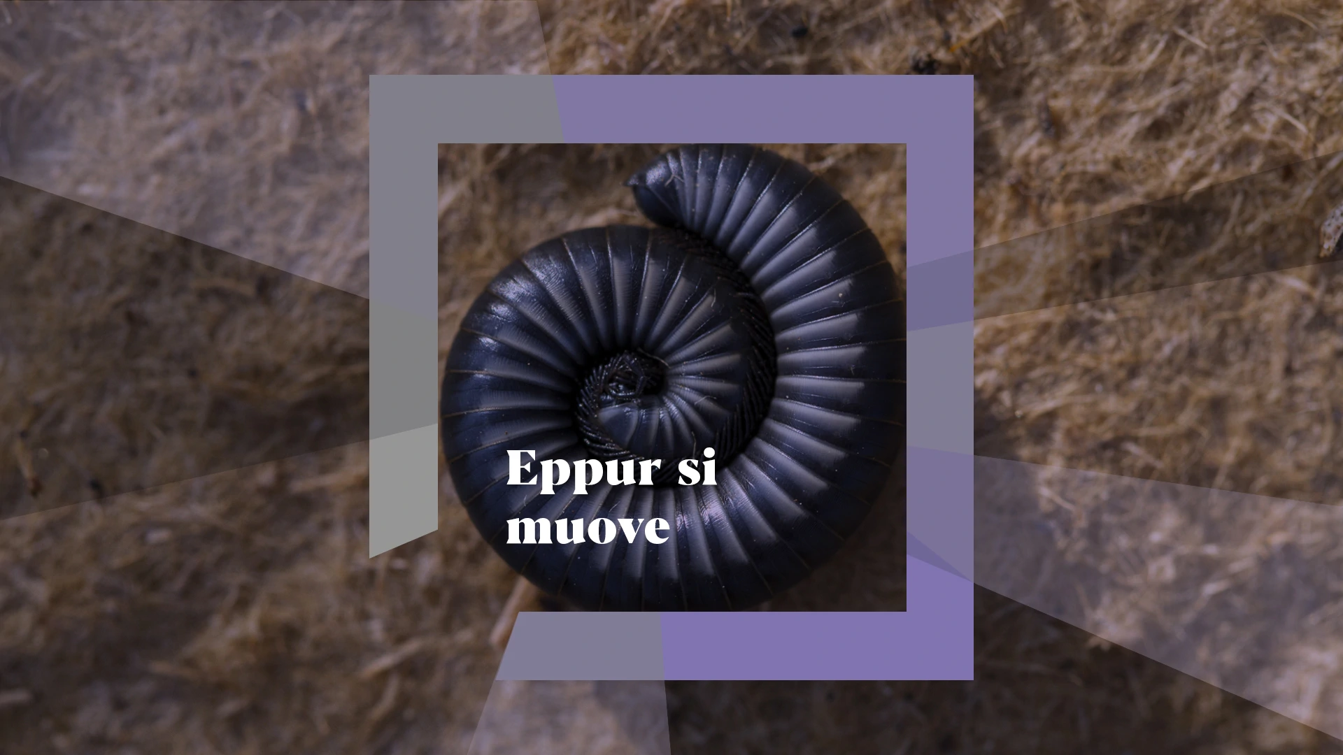 Eppur si muove