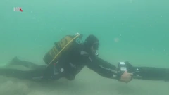 Ronjenje u Savudriji, Foto: More/HRT