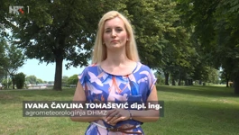 Ivana Čavlina Tomašević