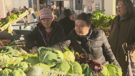Obnovljena malena tržnica na pulskoj Verudi